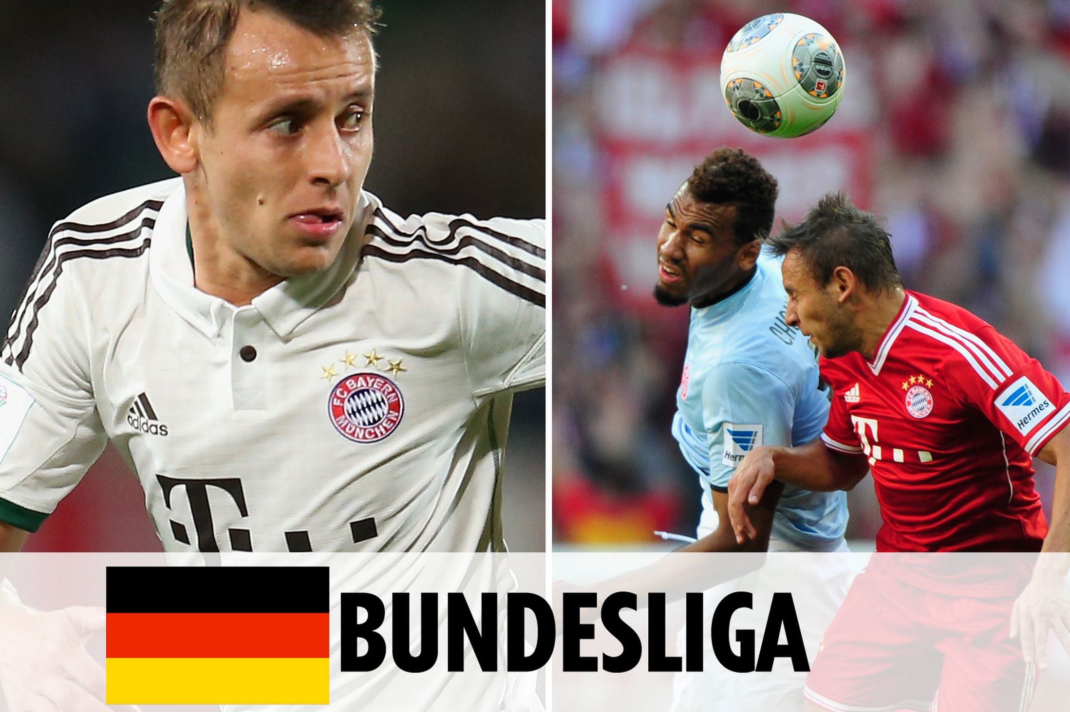 这种显著的 这种显著的