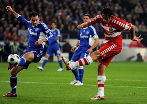 猛的新生力 猛的新生力