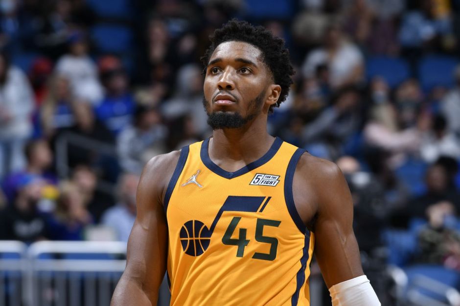 的强大实力 的强大实力