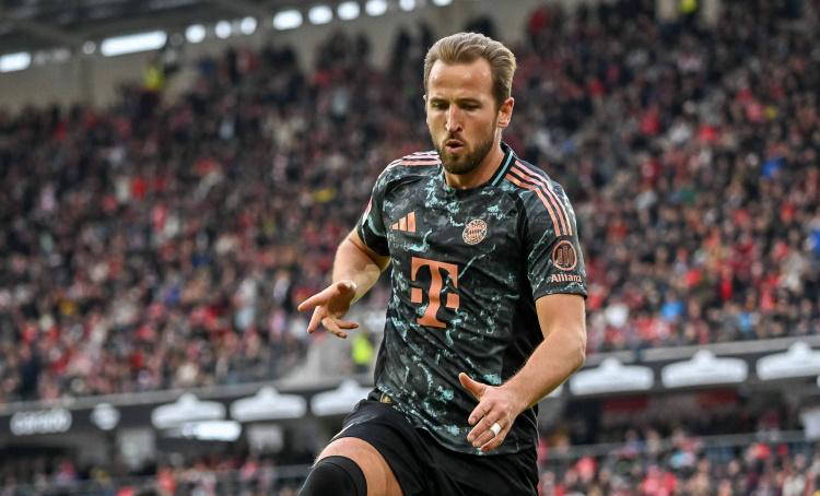 团队内预设 团队内预设